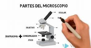 Microscopio óptico compuesto