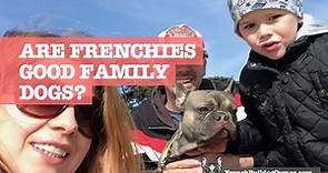 Are French Bulldogs Good Family Dogs? 10 Reasons Why!