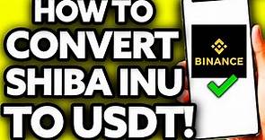 How To Convert Shiba Inu (SHIB) To USDT In Binance (Easy)