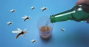 驱蚊有妙招，蚊子最怕这种味道，5个妙招学会一个，蚊子再也不敢进家门，健康又环保