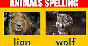 Wild Animal Names - Learn Spelling and Pronunciation in English