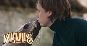 Ylvis - Language of Love [Official music video HD]