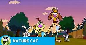 NATURE CAT | Go For A Walk | PBS KIDS