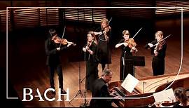 Bach - Air from Orchestral Suite no. 3 in D major BWV 1068 | Netherlands Bach Society