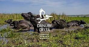 Welcome in the Danube Delta