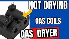 ✨ Gas Dryer Isn’t Drying The Clothes Easy DIY Fix ✨