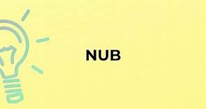 What is the meaning of the word NUB?