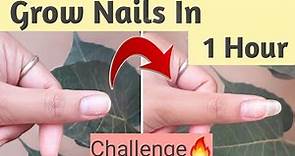 1 Hour Nail Growth Challenge | Live Proof | How to grow Nails Fast | Fast Nail Growth Tips Long Nail