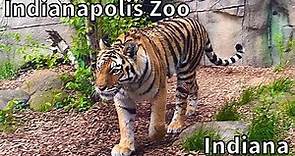 Indianapolis Zoo Tour - Indianapolis, Indiana - USA [4K]