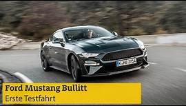 Ford Mustang Bullitt: technische Daten, Hintergründe, Preise | ADAC