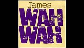 James & Brian Eno - Building a Fire (Wah Wah 1994)