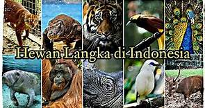 10 Hewan Langka Yang Di lindungi Di Indonesia