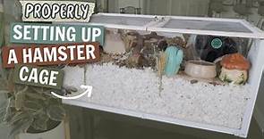 How to PROPERLY Set up a Hamster cage