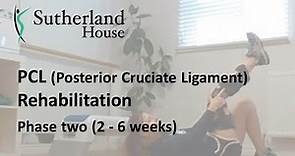 Posterior Cruciate Ligament (PCL) Rehabilitation - Phase two (2 - 6 weeks)