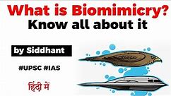What is Biomimicry? Things we can learn from the Nature #UPSC #IAS