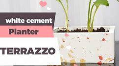 Create Gorgeous Terrazzo Art with White Cement: A DIY Plant Pot Tutorial!