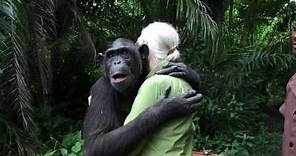 Jane Goodall Releases Chimp