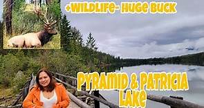 The Beautiful Patricia Lake and Pyramid Lake at Jasper National Park| ysay dale