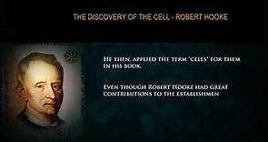 Robert Hooke's Discovery of Cells in 1665