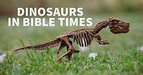 How Do Dinosaurs Fit In The Bible Timeline?