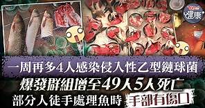【惡菌爆發】一周再多4人感染侵入性乙型鏈球菌　爆發群組增至49人5人死亡 - 香港經濟日報 - TOPick - 新聞 - 社會