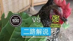【二路解说】EDG vs NIP 春季赛 2月22日