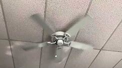 Home Depot Farmington Ceiling Fan