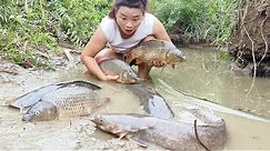 Daily life -Use a pump to drain the stream water to catch large schools of carp and sell them