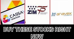 Top 3 stocks to BUY in 2023 [SAVA, ZIM, AVXL]