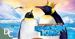 Adventures of the Penguin King | Full Documentary | Documentary Central