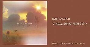 I Will Wait For You - Josh Radnor (Official Audio)
