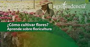 Floricultura | El arte de cultivar FLORES