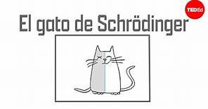 El gato de Schrödinger: Un experimento mental en mecánica cuántica - Chad Orzel