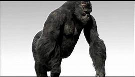 King Kong VFX | Breakdown - Kong | Weta Digital