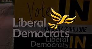 The Liberal Party and the Liberal Democrats - Professor Vernon Bogdanor FBA CBE