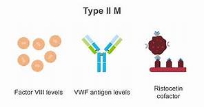 Interpreting tests for von Willebrand disease (VWD).