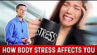 Stressors | Causes of Stress & How it affects your body – Dr.Berg
