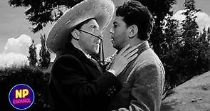 Cantinflas Encuentra a Raúl Penagos | El Señor Fotógrafo (1953) | Now Español