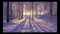 雪景故事#冬天 #下雪 #雪后 #风景 #冬天的风景