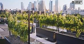 Drink Wine at Rooftop Vineyard in NYC | Secretly Awesome