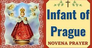 Novena to the Infant Jesus of Prague