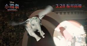 [電影預告] 迪士尼《小飛象》Dumbo - 為愛飛翔 (中文字幕）