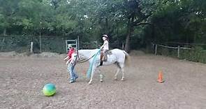 Riding lessons with a 6 year old student. Kid friendly horseback riding games and exercises