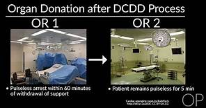 Organ Donation After DCDD: Introduction by S. Vitali | OPENPediatrics