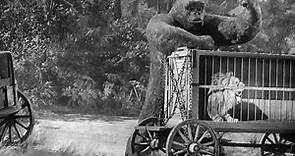 Mighty Joe Young (1949) Fights Lion & More!