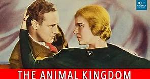 The Animal Kingdom (1932) | Full Movie | Ann Harding, Leslie Howard