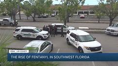 The rise of Fentanyl in southwest Florida