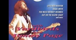 Snake Drive - Eric Clapton & Jimmy Page