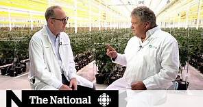 Canadian cannabis producer Aphria on what's next after legalization | Extended Interview