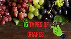 THE 15 BEST TYPES OF GRAPES